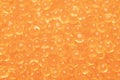 Background texture of salmon fish red caviar. Macro shot trout caviar texture pattern Royalty Free Stock Photo