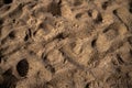 Background texture. Sand on the beach. Horizontal Royalty Free Stock Photo