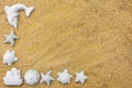 Background texture sand with marine figures top view. Royalty Free Stock Photo