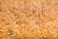 Background texture of a seeded loaf of bread