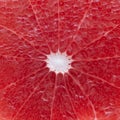 Background texture of a slice of grapefruit, top view closeup