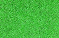 Background texture of small pebbles of green color.