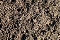 Background or texture of soil in rural. Black earth, humus.