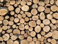 Background texture - stacked firewood prepared for winter. Round timber in a stack, blanks of chopped tree trunks. Firewood wall, Royalty Free Stock Photo