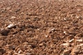 Background texture of stony tilled earth