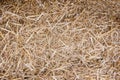 Background texture of straw closeup.