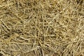 Background texture. Straw on a sloping field in spring