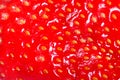 Background texture strawberry