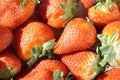 Background texture strawberry