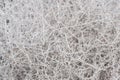 Background texture of tumble weed Royalty Free Stock Photo