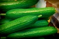 Cucumbers on the counter of the store Royalty Free Stock Photo