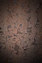 Background Texture of a very old peeling wooden board with crumbling paint. Very old and flaky hard wooden material for fencin Royalty Free Stock Photo