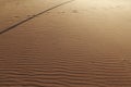 Background texture of wavy sand. Annual growth of area of sand. Sand dunes with footsteps for holiday vacation concept Royalty Free Stock Photo