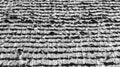 Background texture weathered shake shingle roof in black and white Royalty Free Stock Photo