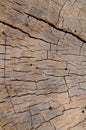 Background Texture Of Weathered Wood Royalty Free Stock Photo