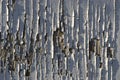 Background texture white cracked paint on wooden surface Royalty Free Stock Photo