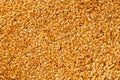 Background texture of white flax seeds. Useful cereals.