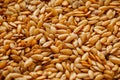 Background texture of white flax seeds. Useful cereals.