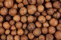Background texture of whole allspice
