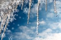 Background texture winter icicles and snowflakes Royalty Free Stock Photo