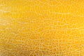 Background texture yellow melon peel Royalty Free Stock Photo