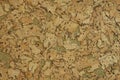 Background textured cork tree in the cut closeup