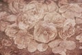 Background of Textured dried Camellia flowers