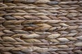 Background of textured dry wicker grass close up Royalty Free Stock Photo