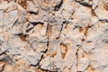 Background with a textured stone with cracks caused by the passage of time and in gray, white and brown colors