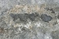 background textures concrete gray dark cracks and spots with blots. old peeling cherished seal of time