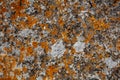 Background textures. Stone texture close-up with colorful spots