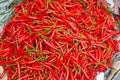 Background of Thai Red Chili