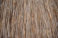 Background of thatched roof, dry grass or hay. Texture of dried grass Royalty Free Stock Photo