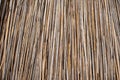 Background of thatched roof, dry grass or hay. Texture of dried grass Royalty Free Stock Photo