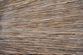 Background of thatched roof, dry grass or hay. Texture of dried grass Royalty Free Stock Photo