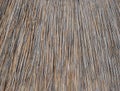 Background of thatched roof, dry grass or hay. Texture of dried grass Royalty Free Stock Photo