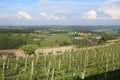 Austrian vineyards on hillside of Riegersburg castle