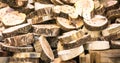 Background of thin round pieces of chopped logs piled together Royalty Free Stock Photo