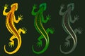 background with three patterned lizards