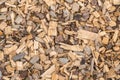 Background from timber sawdust chips