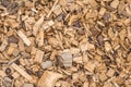 Background from timber sawdust chips