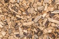 Background from timber sawdust chips