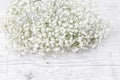 Background with tiny white flowers gypsophila paniculata Royalty Free Stock Photo