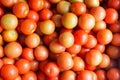 Background with tomatoes. Bulk tomatoes