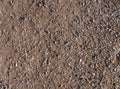 Background, top view. Sand and gravel on a country road. Golden sand and small smooth pebbles on the road. concept