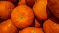 Background with traditional Autumn orange pumpkins, closeup, details