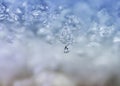 Background from transparent icicles and snowflakes Royalty Free Stock Photo