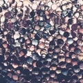 Background of transparent sepia colored gel balls