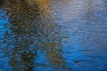 Background of trees mirrored on rippled water surface Royalty Free Stock Photo