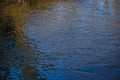 Background of trees mirrored on rippled water surface Royalty Free Stock Photo